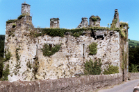 Carrigadrohid Castle